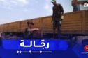 غليزان : شباب يكابدون حر “الصمايم” كيبا لقوت يومهم