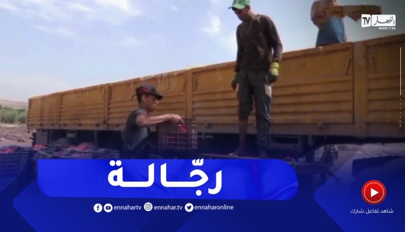 غليزان : شباب يكابدون حر “الصمايم” كيبا لقوت يومهم