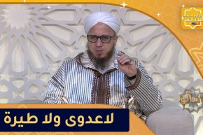 فاسألوا / لا عدوى ولا طيرة