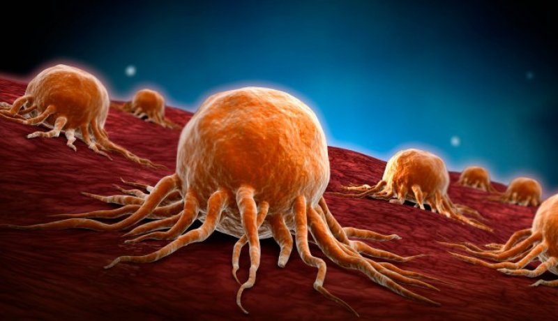 فيروس يستنفر الجهات الصحية ببريطانيا