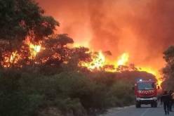 وزارة العدل تعلن فتح تحقيقات قضائية حول حرائق الغابات