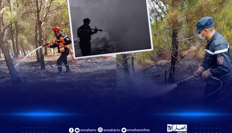 حرائق الغابات: وفاة 37 شخصا وإصابة 183 آخرين عبر 21 ولاية