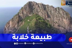 يما قوراية وساحل الزيقواط”.. قبلة العائلات الباحثة عن الهدوء والتمتع بالطبيعة”