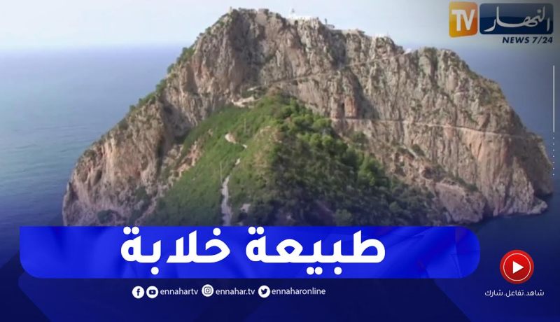 يما قوراية وساحل الزيقواط”.. قبلة العائلات الباحثة عن الهدوء والتمتع بالطبيعة”