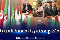لعمامرة يلتقي عددا من نظرائه العرب في القاهرة
