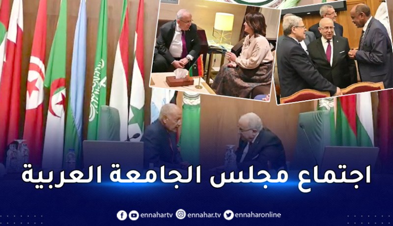 لعمامرة يلتقي عددا من نظرائه العرب في القاهرة