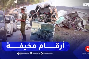 نقل: مع تفاقم حوادث المرور وأرقام الوفيات الرهيبة.. الأجهزة الأمنية تتحرك