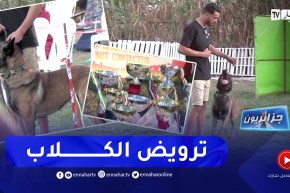 جزائريون: تربية الكلاب.. هواية لطيفة !