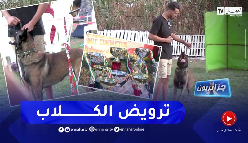 جزائريون: تربية الكلاب.. هواية لطيفة !