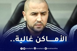 بالفيديو.. بوقرة:”الأماكن غالية في المنتخب المحلي”