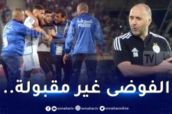 بلماضي يُعلق على حادثة اقتحام المناصر لمباراة الخضر