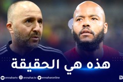 بلماضي يكشف سر عدم استدعاء مبولحي