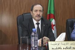 نشر قوائم أساتذة اللغة الإنجليزية في الابتدائي .. الوزير يوضح