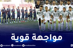 الجزائر / نيجيريا.. مباراة ودية بطابع رسمي