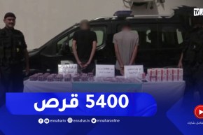 غرداية BRI تطيح بشبكة مختصة في ترويج المؤثرات العقلية وتحجز 5400 قرص مهلوس