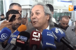 بين الجزائر وقطر.. ماجر يكشف هوية البلد الذي سيدافع على ألوانه ابنه