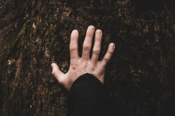 لأنني لا أثق بكل ما حولي.. انعزلت واخترت وحدتي