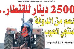 2500 دينار للقنطار.. دعم من الدولة لمنتجي الحبوب