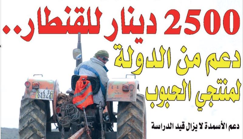 2500 دينار للقنطار.. دعم من الدولة لمنتجي الحبوب