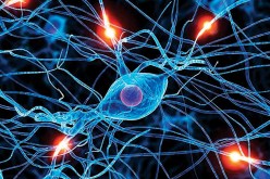 علاج جديد يمنح الأمل للشفاء تماما من سرطان الدم