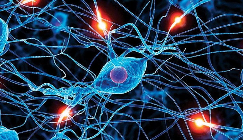 علاج جديد يمنح الأمل للشفاء تماما من سرطان الدم