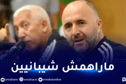بلماضي: “بونجاح ضحية سليماني.. وبلعمري وماندي لن يعتزلوا”