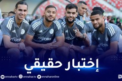 الخضر في إختبار مهم ضد المنتخب الغيني وديا
