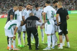 بلماضي:”دولور كان مقلق وسليماني يُسجل من نصف فرصة”