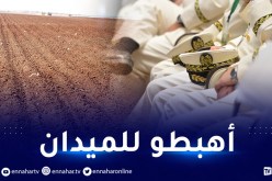 الوزير الأول يأمر الولاة.. متابعة كيفية إستغلال الأراضي الزراعية من مسؤوليتكم
