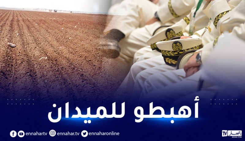 الوزير الأول يأمر الولاة.. متابعة كيفية إستغلال الأراضي الزراعية من مسؤوليتكم