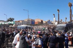 بالفيديو.. توافد غفير لجماهير الخضر على ملعب ميلود هدفي