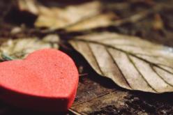 قواعد ذهبية لدوام الحب بين الزوجين..