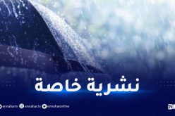 أمطار رعدية مرفوقة ببرد  تصل إلى 40 ملم بداية من اليوم