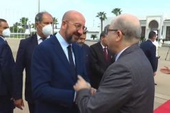 الوزير الأول يودع رئيس المجلس الأوروبي شارل ميشال