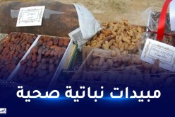 وزارة الفلاحة توضح بشأن صحية التمور المصدرة إلى الخارج