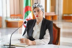 وزيرة الثقافة: سنرافق جميع المبادرات المساهمة في بعث الصناعة السينمائية