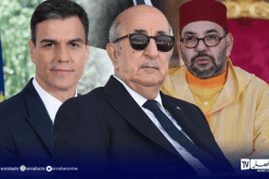 وساطة عربية بين الجزائر والمغرب وإسبانيا.. هذا ما قاله أبو الغيط