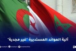 الجزائر ترد على الإدعاءات المغربية حول الصحراء الغربية
