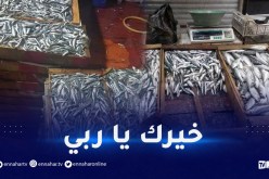 “السردين” و”الساوريل”.. وفرة كبيرة وأسعار قليلة