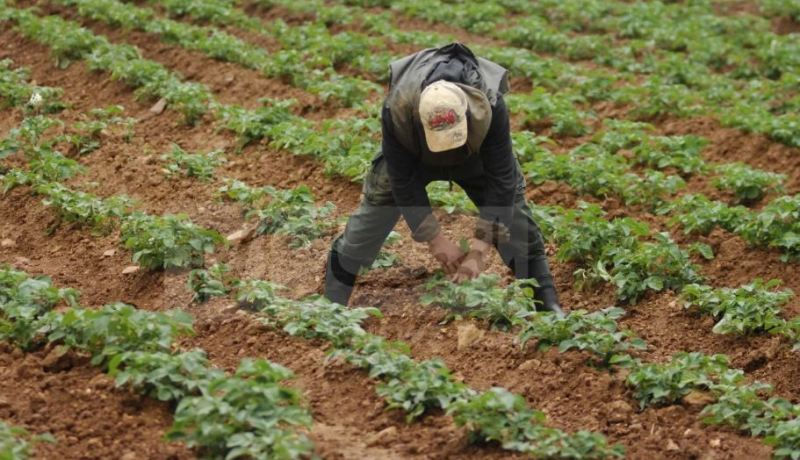 يقومون بسقي المحاصيل الزراعية بـ”الزيقو”.. توقيف 5 أشخاص في بسكرة