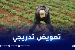 بداية تعويض الفلاحين وهكذا تتم العملية