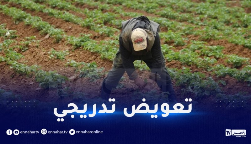 بداية تعويض الفلاحين وهكذا تتم العملية