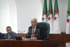 بوغالي: الجيش الوطني الشعبي أعطى درسا لكل المشككين