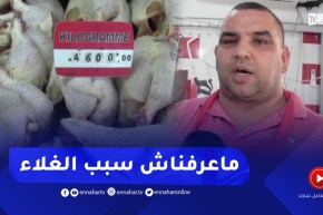 إرتفاع غير مسبوق للحوم الحمراء بالبليدة.. والموال يشتكي غلاء الأعلاف