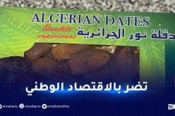 سلطة الضبط تحذر من الأخبار المغلوطة
