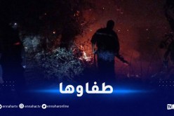 جيجل.. إخماد حريق بغابة تاسوست
