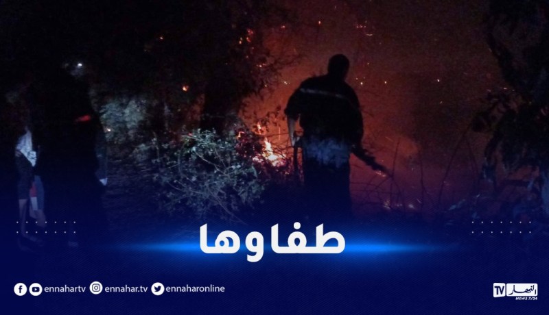 جيجل.. إخماد حريق بغابة تاسوست