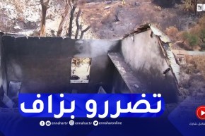 جيجل: 200 عائلة متضررة جراء 48 حريقا تسبب في إتلاف 480 هكتار