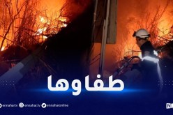 جيجل.. إخماد حريق بواد جن جن