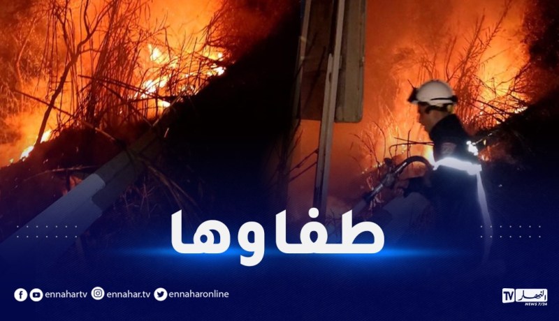 جيجل.. إخماد حريق بواد جن جن